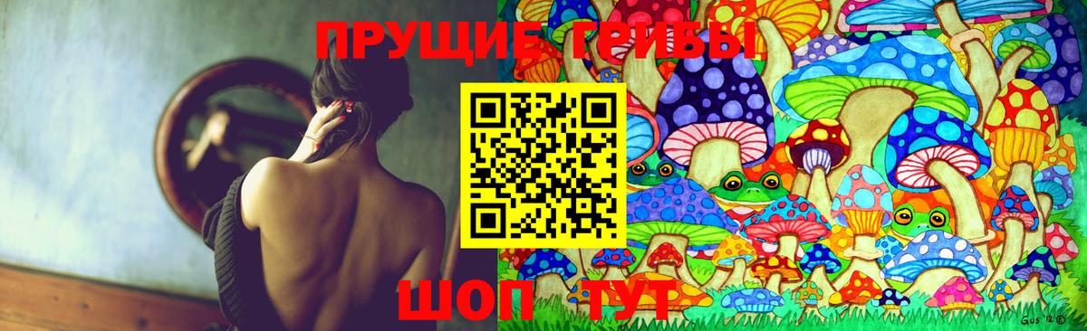 Галлюциногенные грибы Magic Shrooms  Псилоцибиновые грибы прущие грибы  Зеленокумск  Вход с VPN 